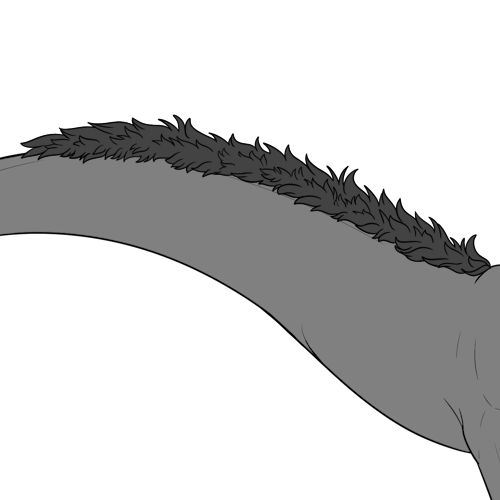 Medium Back Fur (Sub)