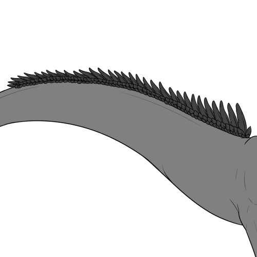 Feathered Spine (Sub)