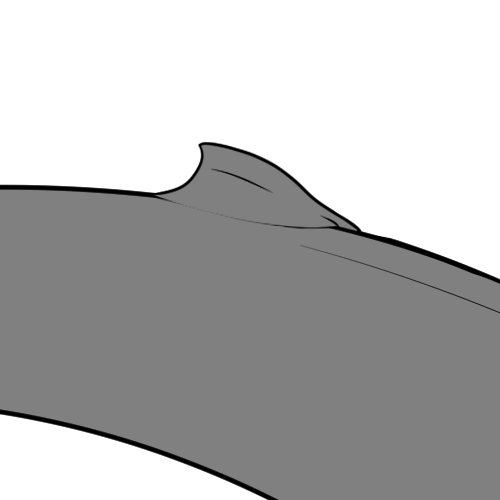 Small Dorsal Fin (Sub)