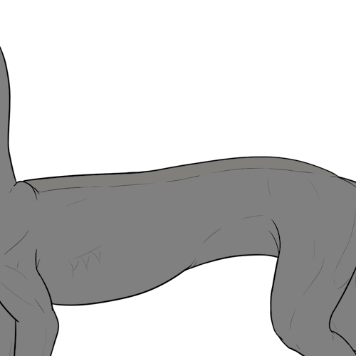 Spine (Kiji)