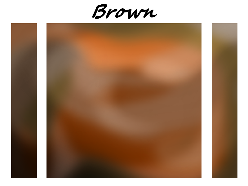 Brown Fur