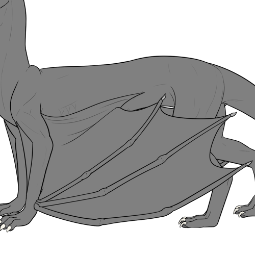 Wyvern Wings
