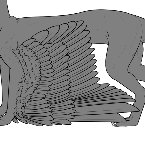 Quetzal Wings