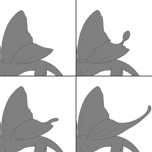 Butterfly Wings