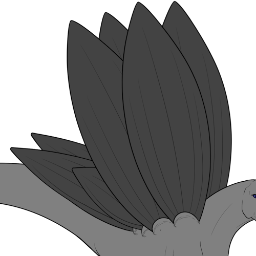 Double Wings