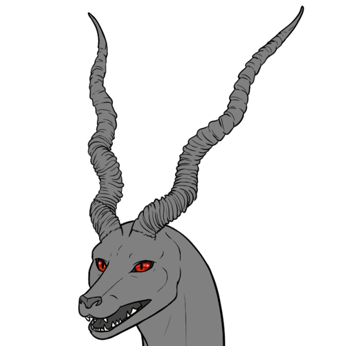 Blackbuck Horns (Kiji)