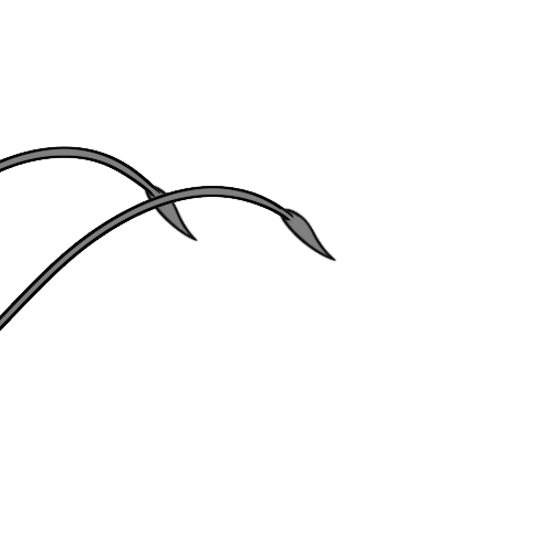 Regular Fang Ends