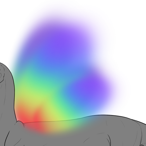 Rainbow Wings