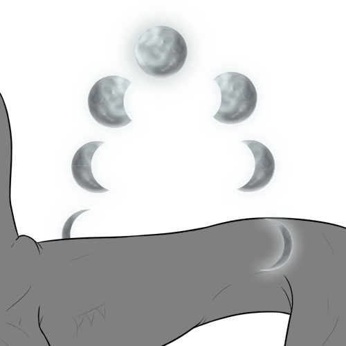 Cycles of the Moon (Kiji)