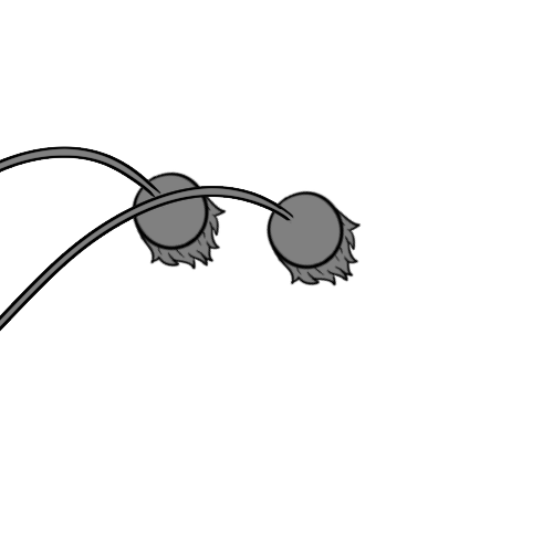 Short Furred Circle Ends