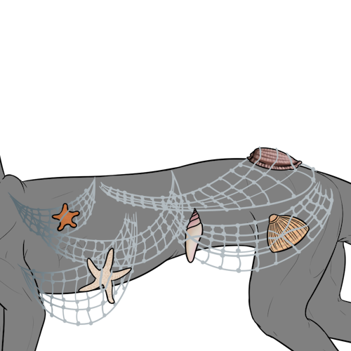 Net Cape (Kiji)