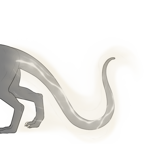 Gleaming Trail (Kiji)