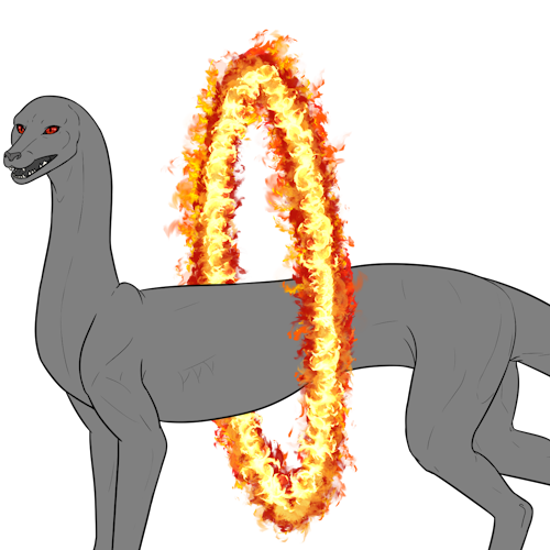 Ring of Fire (Kiji)