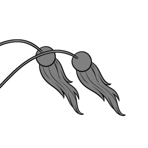 Long Furred Circle Ends