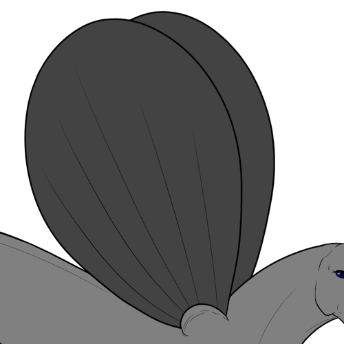 Rounded Top Wings