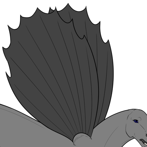 Ridged Top Wings