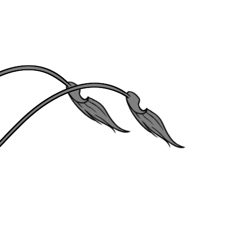 Long Furred Claw Ends