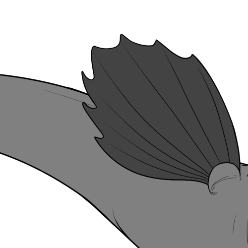 Regular Ridged Bottom Wings