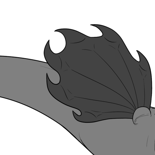 Regular Spiked Bottom Wings