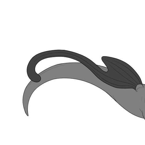 Regular Trailing Bottom Wings