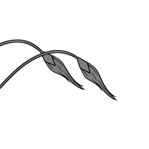 Long Furred Diamond Ends