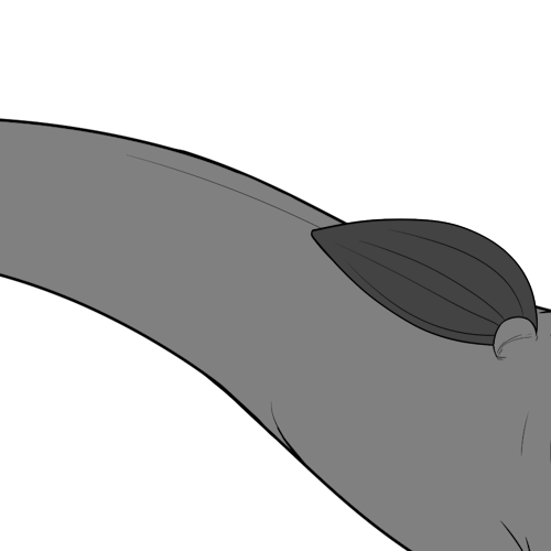 Tiny Pointed Bottom Wings