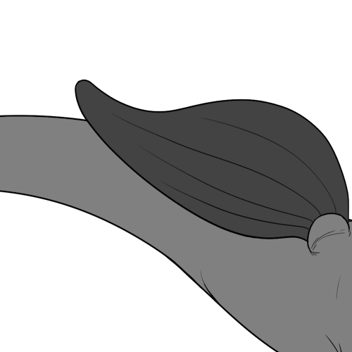 Large Short Tailed Bottom Wings