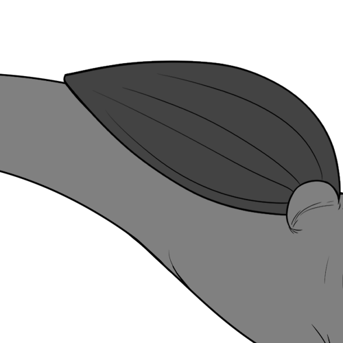 Large Pointed Bottom Wings