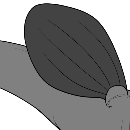 Large Rounded Bottom Wings