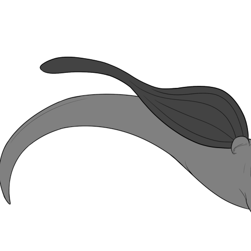 Large Long Tailed Bottom Wings