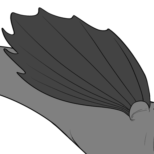 Elongated Ridged Bottom Wings