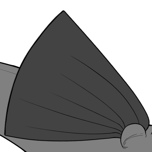 Elongated Flat Bottom Wings