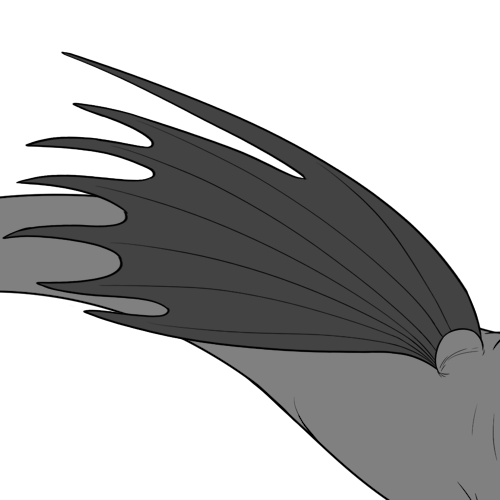 Elongated Spiney Bottom Wings