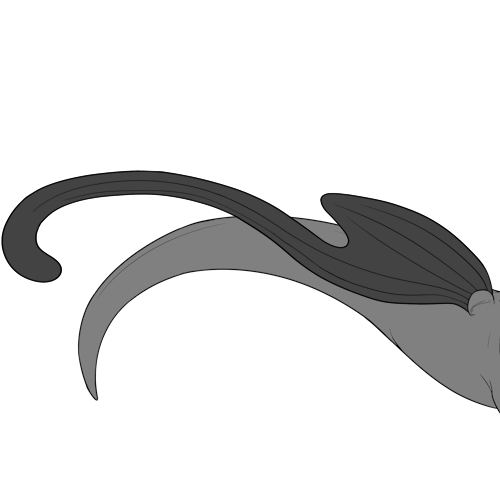 Elongated Trailing Bottom Wings