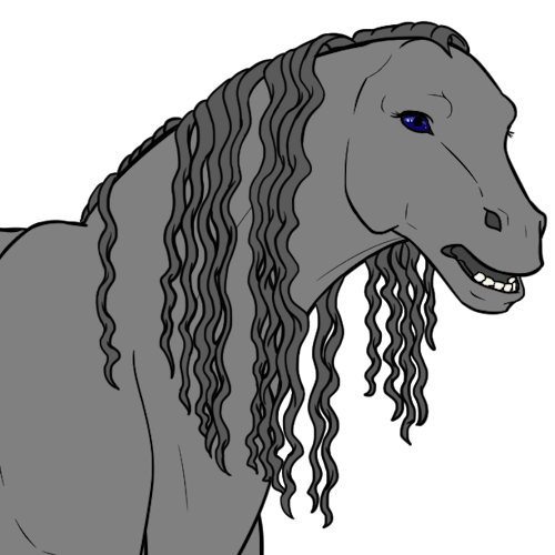 Friesian Mane