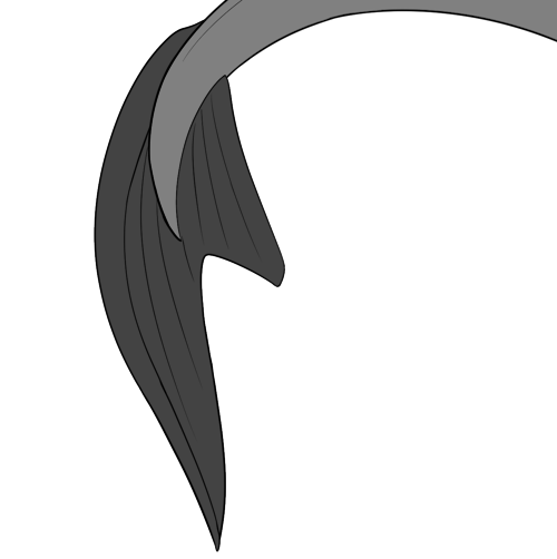 Trailing Tail Fin