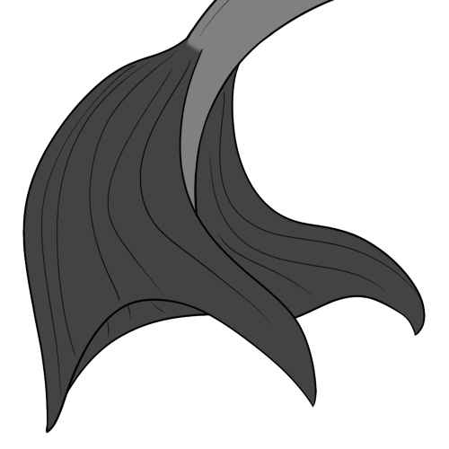 Goldfish Tail Fin