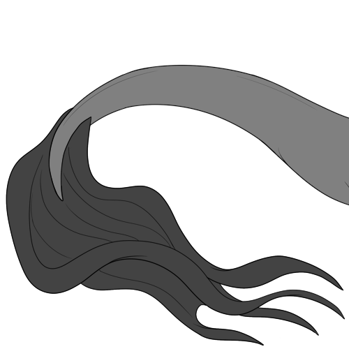 Draped Tail Fin