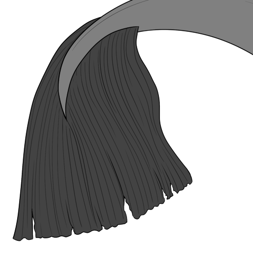 Betta Tail Fin
