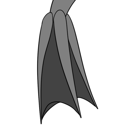 Pronged Tail Fin