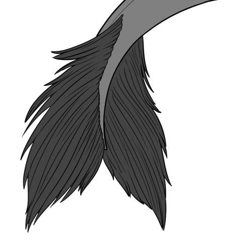 Furred Tail Fin