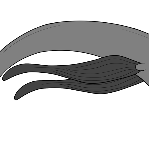 Trailing Fins