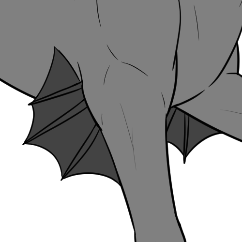 Small Arm Fins
