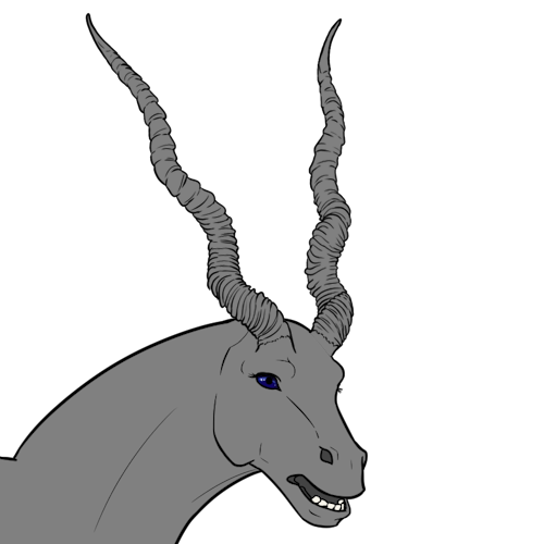 Blackbuck Horns (Sub)