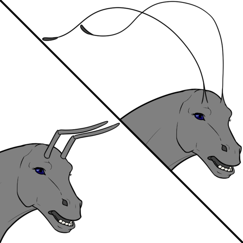 Antennae (Sub)