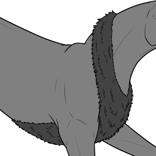 Short Tapering Fur