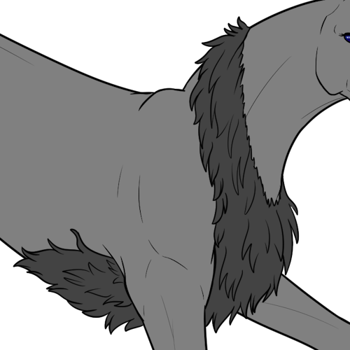 Medium Tapering Fur