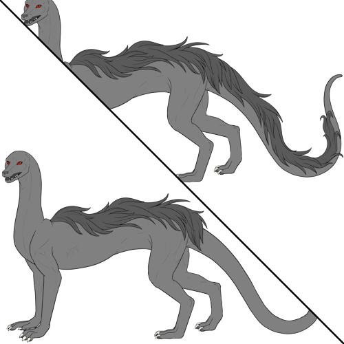 Long Back Fur (Kiji)