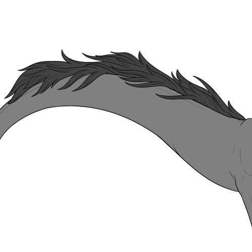 Long Back Fur (Sub)