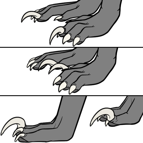 Raptor Claw (Kiji)